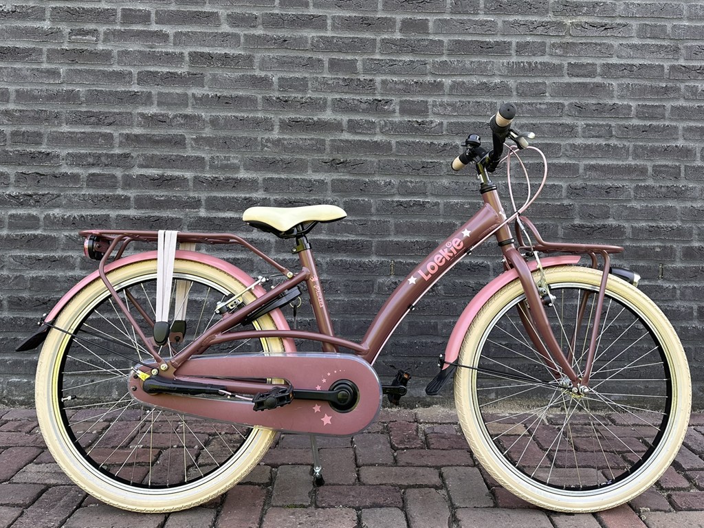 - Loekie_Prinses_22_Bruin_roze_01.jpg - Loekie_Prinses_22_Bruin_roze_01.jpg
